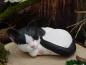 Preview: Katzenform, Abbildung zeigt Schwarz/Weiß nach Fotovorlage bemalt