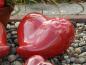 Preview: Tierurne für den Außenbereich - Herz Rot mit Pfote, Volumen: ca. 3,00 Ltr: