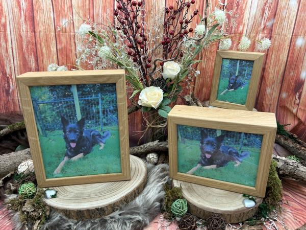 Tierurnen für den Innenbereich, Bilderrahmenurnen aus Holz, Eiche, Gruppenbild