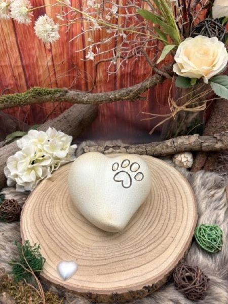Tierurne Herz mit Pfote, Creme