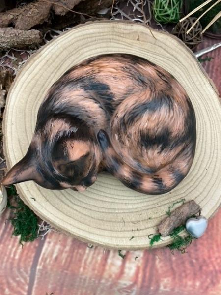 Katze nach Fotovorlage bemalt (von oben)