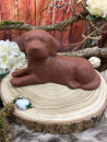Tierurne Hund - Braun